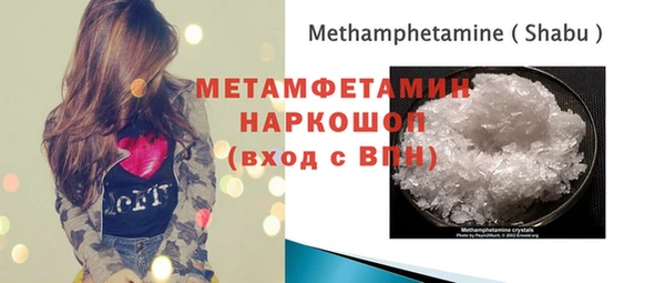 прущие грибы Рославль