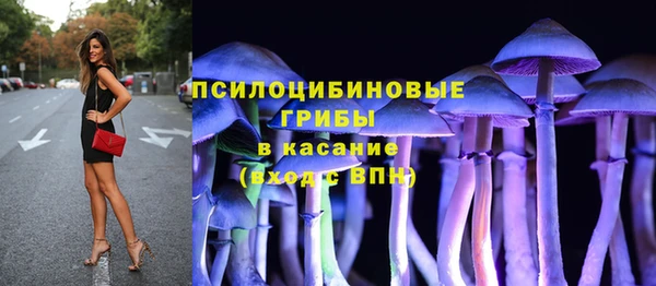 ешки Алексеевка