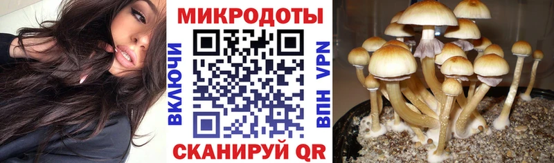 Галлюциногенные грибы прущие грибы  Балабаново 